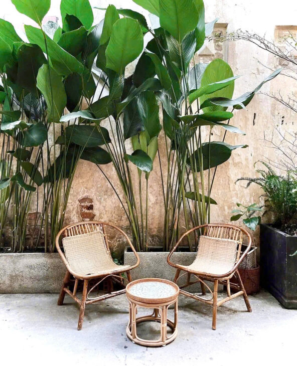 28 Triệu: thuê nguyên căn Quận 1- ĐIỆN BIÊN PHỦ CMT8- cao 5 tầng thông suốt có Lửng. VŨ 0933910039