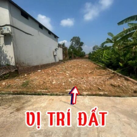 ĐẤT ĐẸP FULL THỔ CƯ – CHÍNH CHỦ BÁN NHANH Tại XUÂN ĐỒNG, TÂN MINH, SÓC SƠN