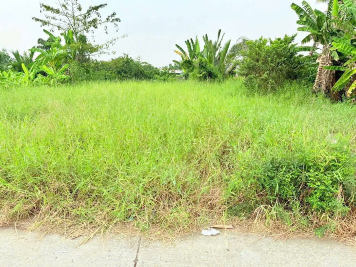 ĐẤT ĐẸP – MẶT TIỀN – Chính Chủ Bán Lô Đất Tiềm Năng Đường Trần Văn Đức, Bình Lãng, Tân Trụ, Long An