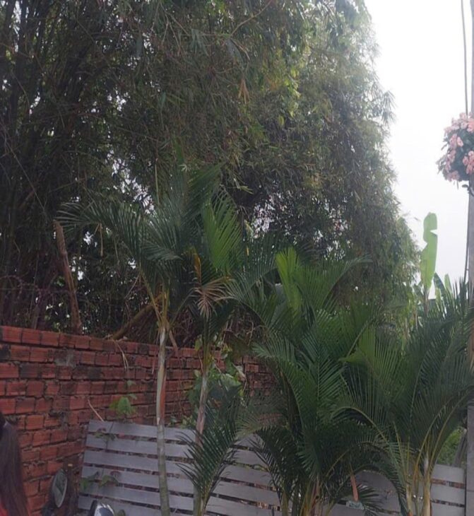 Đất Vuông HXH 57m2 – Tô Ngọc Vân Gò Vấp