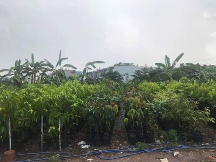 0.9Ha Đất đầu tư GD View sông – Phan Huy Ích Gò Vấp S