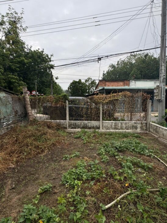 Đất SHR Nở hậu HXH 438m2 – Hiệp Thạnh Tây Ninh S