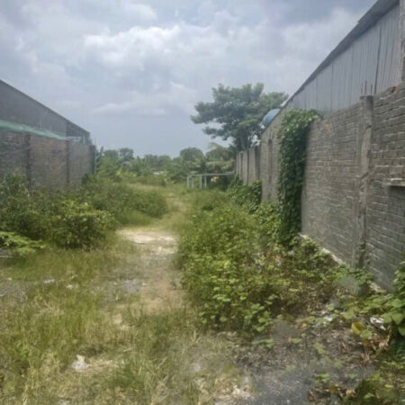 Đất SHR Mặt tiền 8268m2, Nở hậu – Phạm Thị Giây Hóc Môn