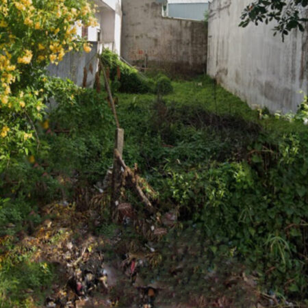 Giảm 100tr! Đất HXH 246m2, Nở hậu – Trần Thị Năm Q12 SS