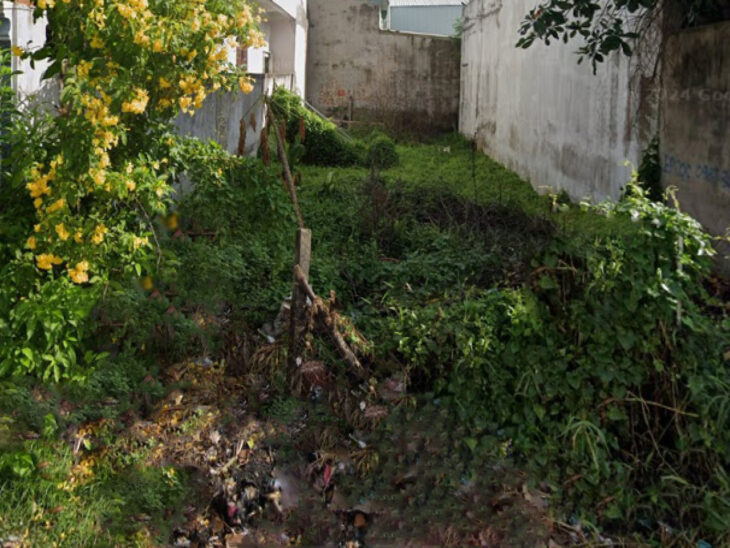 Giảm 100tr! Đất HXH 246m2, Nở hậu – Trần Thị Năm Q12 SS