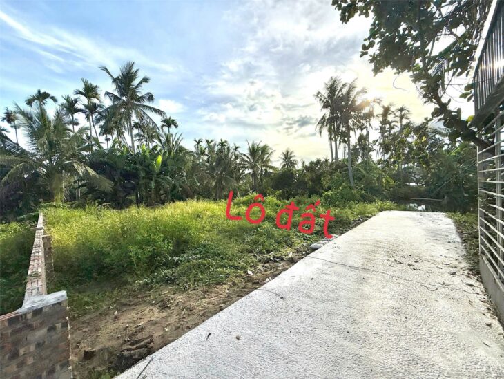 Bán đất Hòa Nghĩa – Dương Kinh, 71,2m² sổ đỏ, sử dụng gần 100m², view ao thoáng mát Giá chỉ 9xx