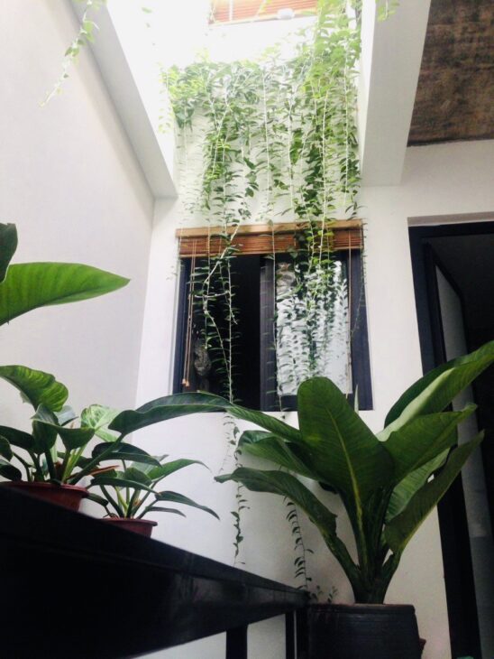 BÁN NHÀ PHÚC ĐỒNG, LONG BIÊN, 50M2, OTO TRÁNH-NHỈNH 13 TỶ