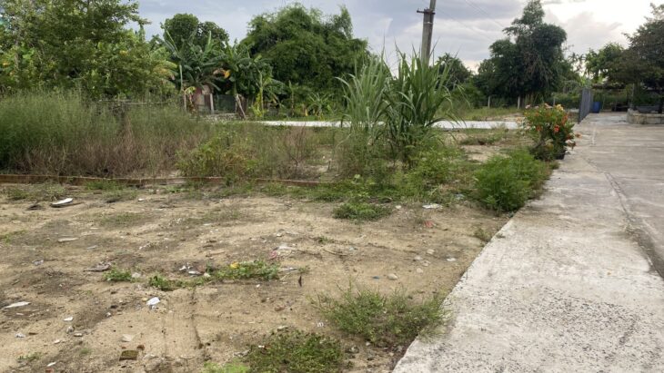 🌟 BÁN ĐẤT KIỆT MAI ĐĂNG CHƠN – VỊ TRÍ VÀNG, GIÁ CỰC TỐT!!! 🌟