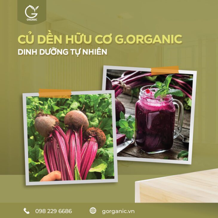 G. ORGANIC THỰC PHẨM KHÔNG CHỈ NUÔI THÂN – MÀ CÒN NUÔI CẢ TÂM & TRÍ