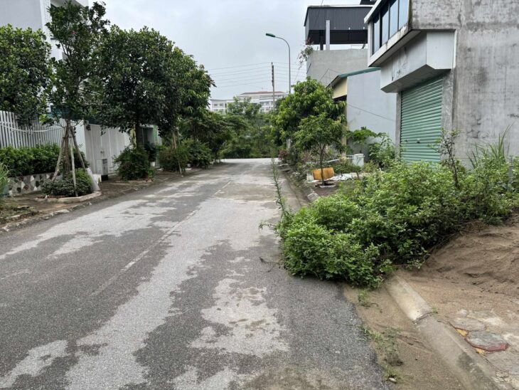 ✨ BÁN ĐẤT TÁI ĐỊNH CƯ TRÂU QUỲ – GIA LÂM ✨ LH 0985865658