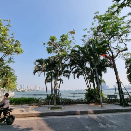 ĐẤT VÀNG TÂY HỒ – HIẾM MỘT KHÔNG HAI – 2 MẶT NGÕ Ô TÔ – SÁT PHỐ LẠC LONG QUÂN ĐẤT VÀNG TÂY HỒ – HIẾM MỘT KHÔNG HAI – 2 MẶT NGÕ Ô TÔ – SÁT PHỐ LẠC LONG QUÂN