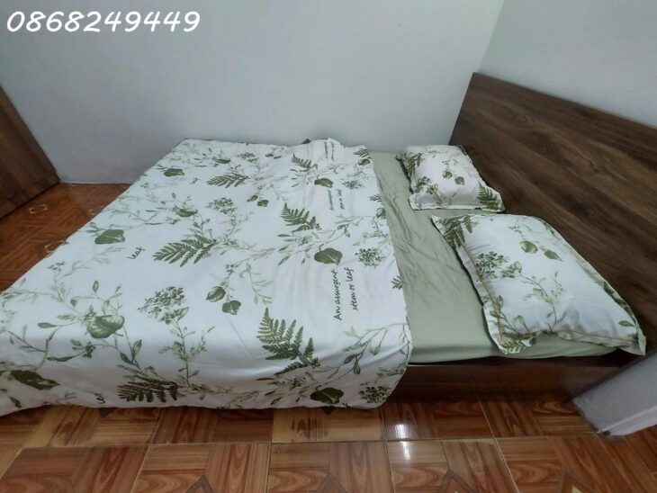 Bán nhà cấp 4 sau đại học sư phạm, kiệt 119 phạm như xương, giá chỉ hơn 2 tỷ
