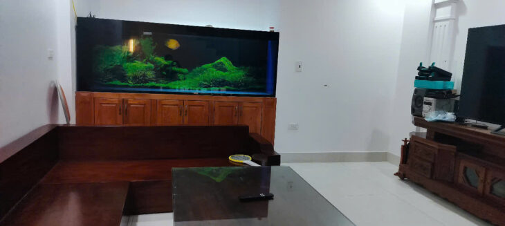 bán nhà mặt phố ngô thì nhậm 5,x tỷ