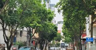 Bán 706m2 đất khu phố phú gia, phú xá, phú thượng, tây hồ, giá 65tỷ