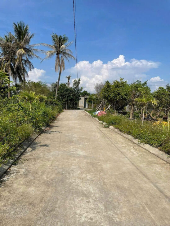 Bán đất Thôn Đông Dinh, xã Diên Toàn, Huyện Diên Khánh, Tỉnh Khánh Hòa