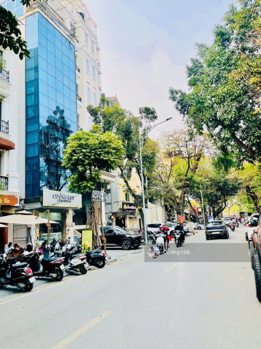 Bán nhà mặt phố Nguyễn Khang – 95m * 8Tầng Thang Máy Vỉa hè View Sông Tô Lịch Thơ Mộng KDVP