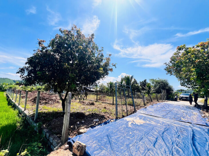 BÁN GẤP 2 LÔ CÓ SẴN NHÀ CẤP 4 PHÙ HỢP LÀM NHÀ VƯỜN TẠI DIÊN THỌ, DIÊN KHÁNH.