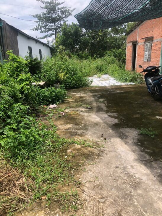 ĐẤT ĐẸP – GIÁ TỐT – Bán GẤP Lô Đất Tiềm Năng Tại Khu Phố Bình Quân 2, Phường Long An, Tây Ninh.