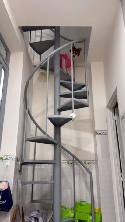 🔥 BÁO ĐỘNG GIÁ NHÀ TP HCM Q.11 CHỈ 1.7 TỶ ! NHÀ 2 LẦU, HẺM XE HƠI LÔ GÓC, CÓ DÒNG TIỀN 5