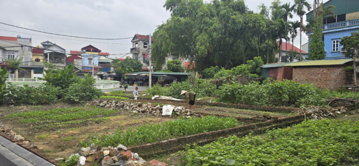 Bán đất mặt Hồ Gia Lộc – Gia Lương, xã Việt Hùng, Đông Anh – Nay là xã Thư Lâm, Thành phố Hà Nội,