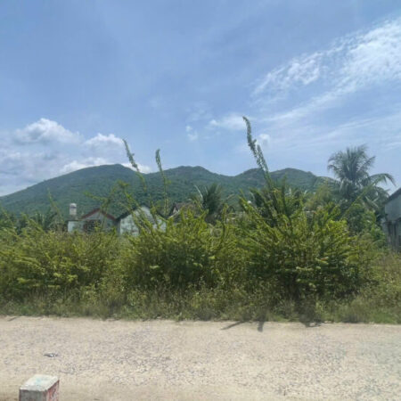 BÁN LÔ ĐẤT THÔN ĐÔNG 3, XÃ DIÊN ĐIỀN, DIÊN KHÁNH.