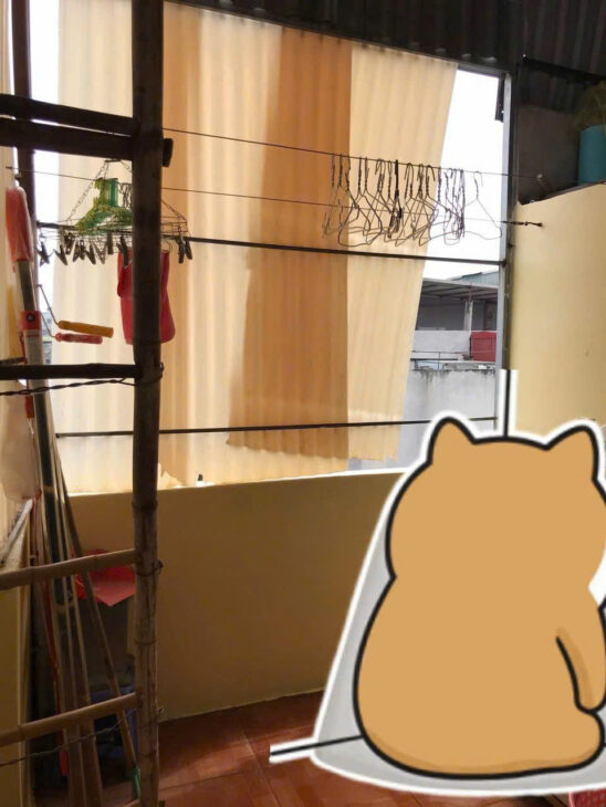 CHO THUÊ PHÒNG TRỌ BẠCH MAI – HAI BÀ TRƯNG – Ở 2 NỮ – CHÍNH CHỦ