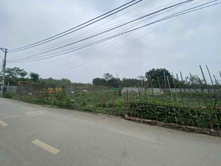 Bán đất TĐC Đông Hội Đông Anh- Phân Lô – Vỉa Hè- trục chính cầu Tứ Liên- 60m nhỉnh 10 tỷ( TL)