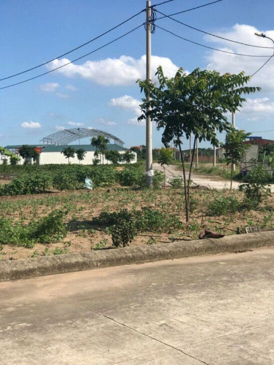 🏡 BÁN ĐẤT 90 m2 ĐẤU GIÁ ĐÌNH TỔ – THUẬN THÀNH, BẮC NINH – LH 0985865658 🏡