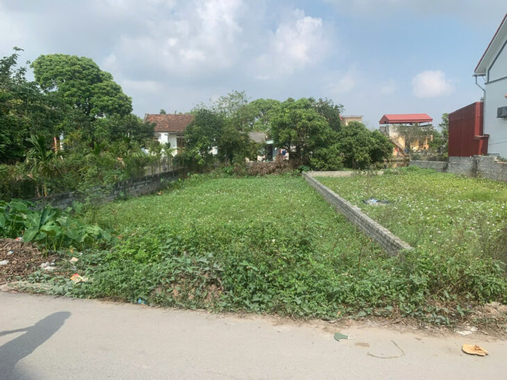 ĐẤT ĐẸP – GIÁ TỐT – CHÍNH CHỦ CẦN BÁN tại thôn Đan Tràng, Xã Hồng Quang, Huyện Ân Thi, Hưng Yên