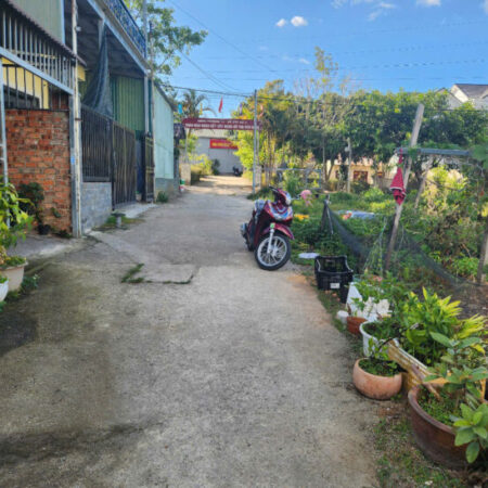 BÁN ĐẤT XÂY BIỆT THỰ NAM HỒ ĐÀ LẠT – VỊ TRÍ ĐẸP 7.8 TỶ