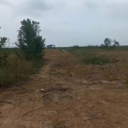 Cần bán đất 80 mẫu tại Vĩnh Cửu Đồng Nai giá cả thương lượng với khách hàng có nhu cầu Cần bán đất 80 mẫu tại Vĩnh Cửu Đồng Nai giá cả thương lượng với khách hàng có nhu cầu