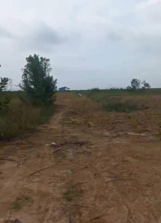 Cần bán đất 80 mẫu tại Vĩnh Cửu Đồng Nai giá cả thương lượng với khách hàng có nhu cầu