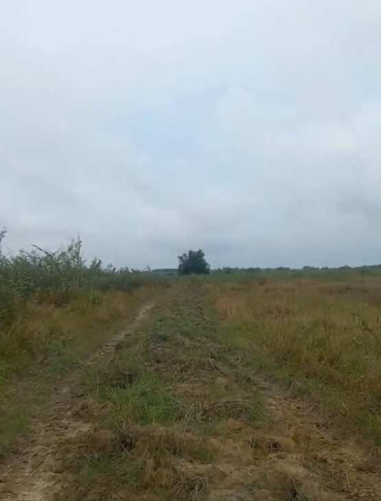 Cần bán đất 80 mẫu tại Vĩnh Cửu Đồng Nai giá cả thương lượng với khách hàng có nhu cầu