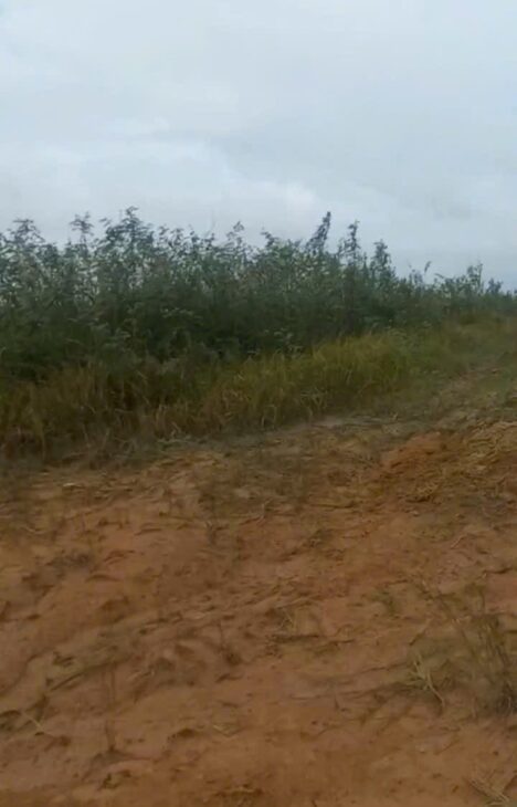 Cần bán đất 80 mẫu tại Vĩnh Cửu Đồng Nai giá cả thương lượng với khách hàng có nhu cầu