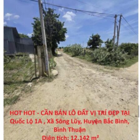 HOT HOT – CẦN BÁN LÔ ĐẤT VỊ TRÍ ĐẸP TẠI Quốc Lộ 1A , Xã Sông Lũy, Huyện Bắc Bình, Bình Thuận HOT HOT – CẦN BÁN LÔ ĐẤT VỊ TRÍ ĐẸP TẠI Quốc Lộ 1A , Xã Sông Lũy, Huyện Bắc Bình, Bình Thuận