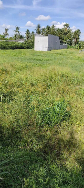 ĐẤT ĐẸP – GIÁ TỐT – CHÍNH CHỦ BÁN TẠI Xã Tân Mỹ, Trà Ôn, Vĩnh Long nay là xã Trà Côn