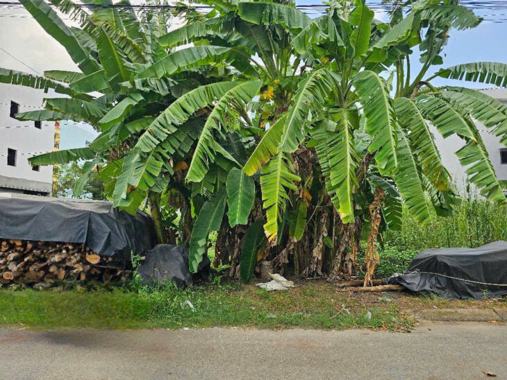 BÁN ĐẤT PHÂN LÔ BƯNG ÔNG THOÀN – VỊ TRÍ ĐẸP, ĐƯỜNG RỘNG, GIÁ TỐT