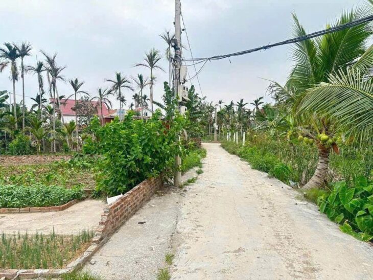 Lô đất đẹp 53.3m² giá chỉ 5xx triệu – hiếm có tại Tân Phong, Kiến Thụy ZALO 0567 222 555