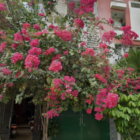 Giảm 2.5 tỷ! Nhà Vuông SHR 4 tầng Đ.8m 98m2 – Bình Lợi Bình Thạnh S