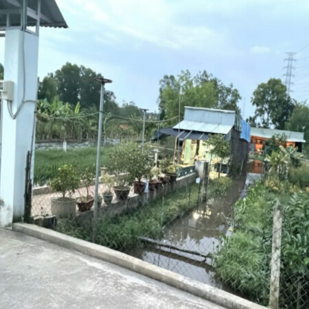 Đất Vuông SHR HXH 2798m2 – Đông Thạnh 2 Hóc Môn Đất Vuông SHR HXH 2798m2 – Đông Thạnh 2 Hóc Môn