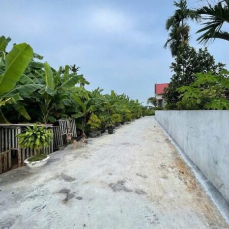 SIÊU PHẨM ĐẤT LÃO PHÚ – TÂN PHONG, KIẾN THỤY – GIÁ CHỈ 7XX TRIỆU – ĐẸP KHÔNG TÌ VẾT – ZALO 0567 222