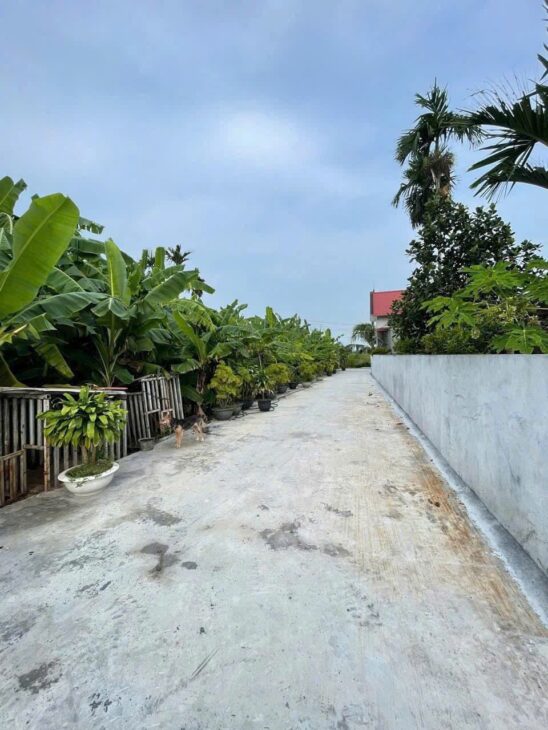 SIÊU PHẨM ĐẤT LÃO PHÚ – TÂN PHONG, KIẾN THỤY – GIÁ CHỈ 7XX TRIỆU – ĐẸP KHÔNG TÌ VẾT – ZALO 0567 222