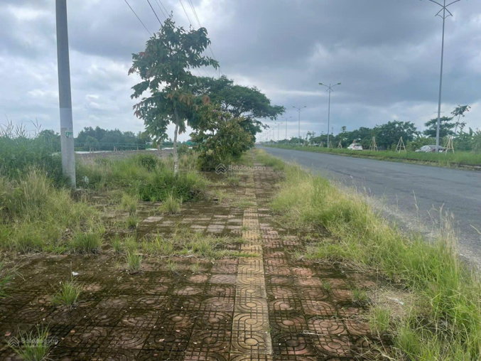 Bán đất 869m² giá 3.5 tỷ Xã Sông Đốc