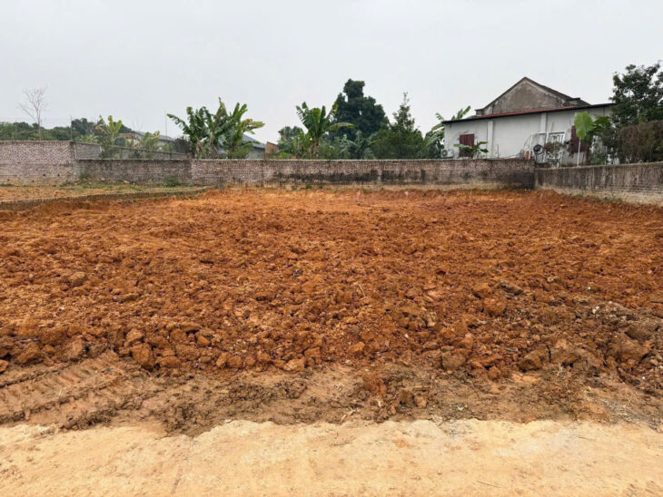 BÁN ĐẤT GIÁ SIÊU MỀM – TDP NINH HÀ, XÃ KIM LONG, HUYỆN TAM DƯƠNG, VĨNH PHÚC