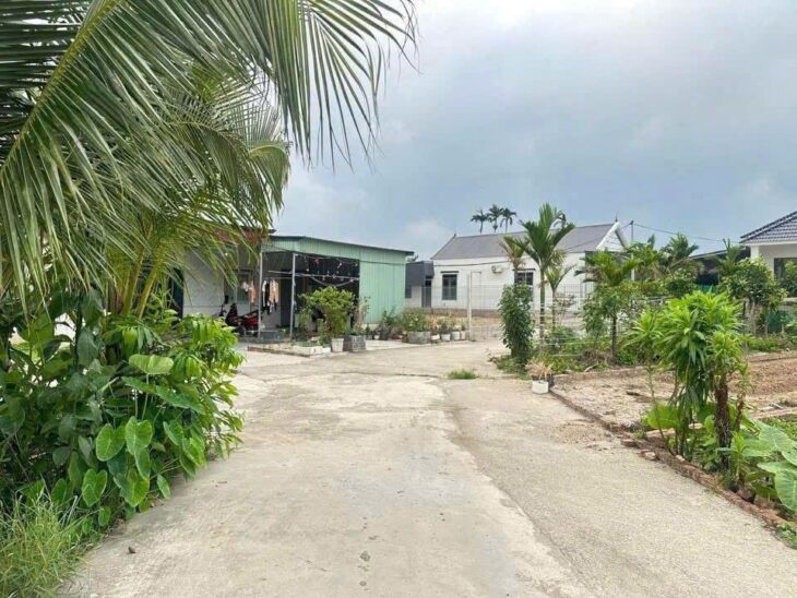 Lô đất đẹp 53.3m² giá chỉ 5xx triệu – hiếm có tại Tân Phong, Kiến Thụy ZALO 0567 222 555