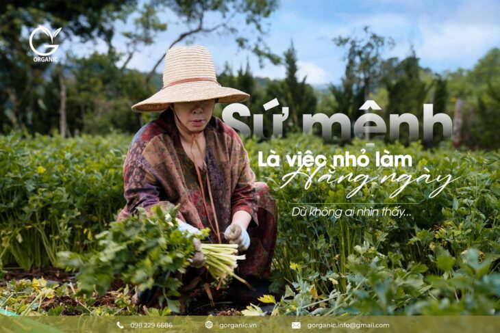 Từ đất lành, gieo mầm hữu cơ – Thực phẩm G.Organic
