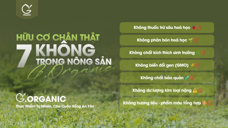 Từ đất lành, gieo mầm hữu cơ – Thực phẩm G.Organic