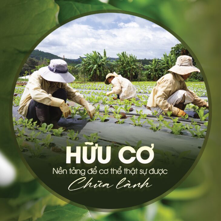 Từ đất lành, gieo mầm hữu cơ – Thực phẩm G.Organic