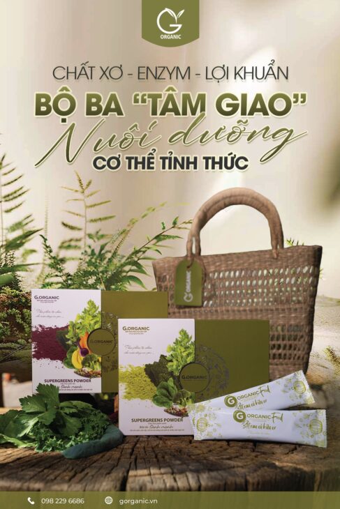Từ đất lành, gieo mầm hữu cơ – Thực phẩm G.Organic