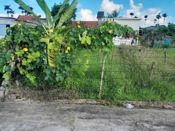 Lô đất giá hiếm khu Xuân Chiếng – Ngũ Phúc chỉ 1.0x tỷ ZALO 0567 222 555